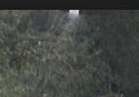 Screen Shot 2022-08-28 at 12.04.48 AM.png