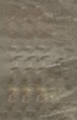 Screen Shot 2022-08-28 at 10.42.12 AM.png