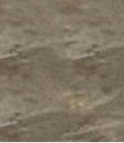 Screen Shot 2022-08-28 at 11.51.25 AM.png