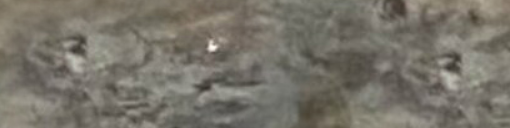 Screen Shot 2022-08-28 at 11.51.31 AM.png