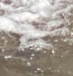 Screen Shot 2022-08-28 at 11.51.49 AM.png