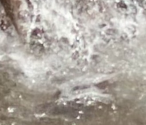 Screen Shot 2022-08-28 at 11.52.01 AM.png