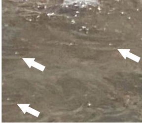 Screen Shot 2022-08-28 at 6.04.22 PM copy.png Screen Shot 2022-08-28 at 6.04.22 PM copy.png