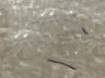 Screen Shot 2022-08-28 at 6.11.47 PM.png Screen Shot 2022-08-28 at 6.11.47 PM.png