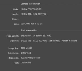 Screen Shot 2022-08-29 at 8.54.34 AM.jpg