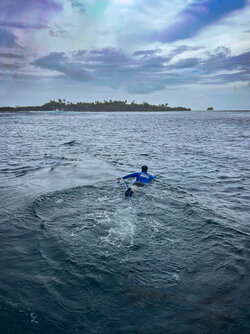 Remove Swimmers-Outboard_3b.jpg