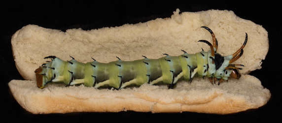 Screenshot 2022-09-05 165756.png