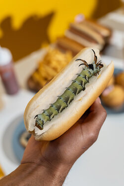 bug in a bun REV.jpg