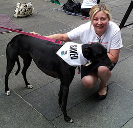 Sentient President Rosemary Elliott with rescue greyhound.jpg Sentient President Rosemary Elliott with rescue greyhound.jpg
