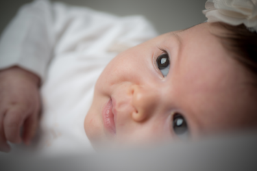 bottom.png bottom.png