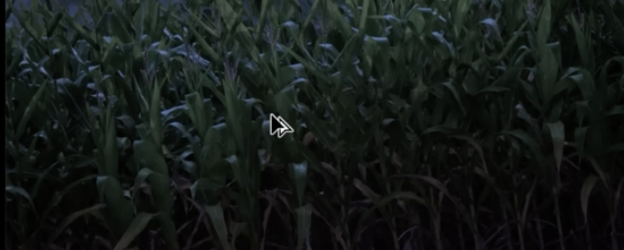 edited grass.png edited grass.png
