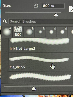 2022 11 28 Brushes 1.jpg 2022 11 28 Brushes 1.jpg