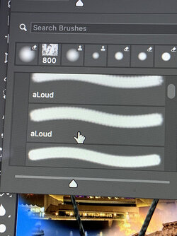 2022 11 28 Brushes 2.jpg 2022 11 28 Brushes 2.jpg