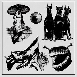 E89F44D1-354C-49CF-8CF5-B80789950E80.jpeg E89F44D1-354C-49CF-8CF5-B80789950E80.jpeg