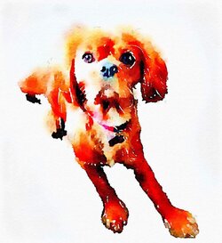 received_10154368707410406.jpeg received_10154368707410406.jpeg