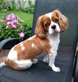 Toby M.jpg Toby M.jpg