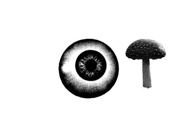 9BD7242D-E018-4002-97CD-9F01AC442957.jpeg 9BD7242D-E018-4002-97CD-9F01AC442957.jpeg