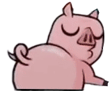 pig.png