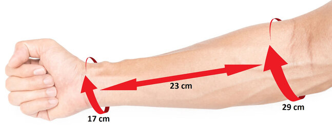 forearm.jpg forearm.jpg