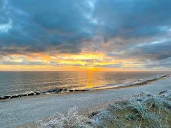 Beach-2_00x copy.jpg