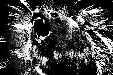 Bear Effect (Rich).jpg