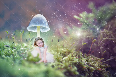 IMG_9931_Draft.jpg IMG_9931_Draft.jpg