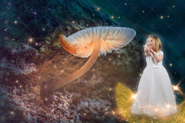 IMG_0012_Draft.jpg IMG_0012_Draft.jpg