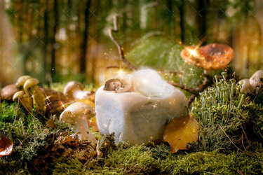 IMG_9988_Draft.jpg IMG_9988_Draft.jpg