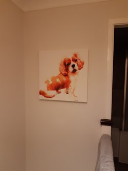 Toby M Canvas.jpg Toby M Canvas.jpg