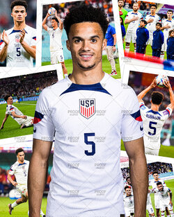 robinson draft 1.jpg