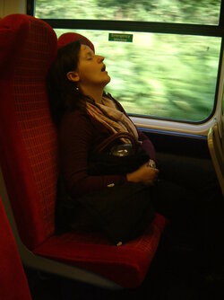 728766287_223ffe93e1_b (9).jpg