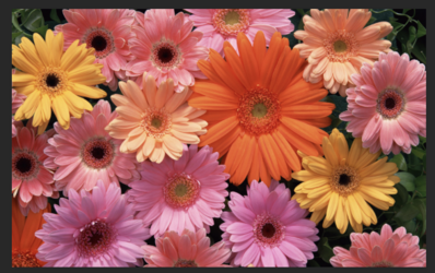 Screen Shot 2023-07-01 at 8.32.03 AM.png Screen Shot 2023-07-01 at 8.32.03 AM.png