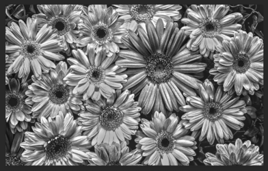 Screen Shot 2023-07-01 at 9.23.09 AM.png Screen Shot 2023-07-01 at 9.23.09 AM.png