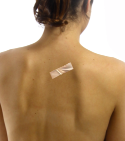 1692588787634.png 1692588787634.png