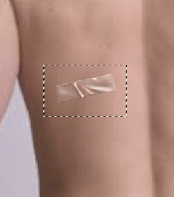 Screen Shot 2023-08-20 at 10.52.13 PM.png Screen Shot 2023-08-20 at 10.52.13 PM.png