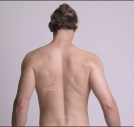 Screen Shot 2023-08-20 at 11.08.44 PM.png Screen Shot 2023-08-20 at 11.08.44 PM.png