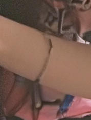 Screen Shot 2023-08-25 at 7.37.17 AM.png