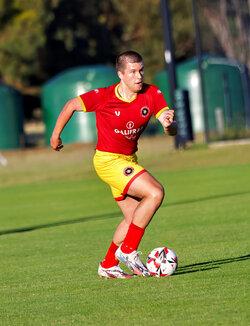 grigsy.jpg grigsy.jpg