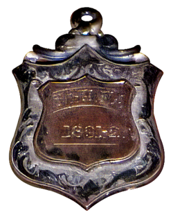 JT Fathers medals.png