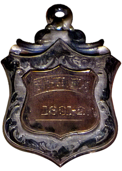 JT Fathers medals perspective.png