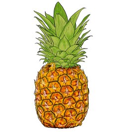 pineapple.jpg