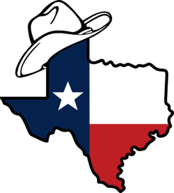 texas hat.png