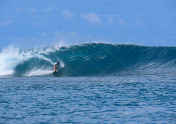 Surfer-2.jpg