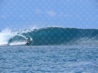 surfing 1 small.jpg