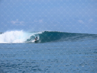 surfing 2 small.jpg