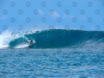 surf-1.jpg