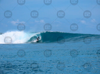 surf-2.jpg