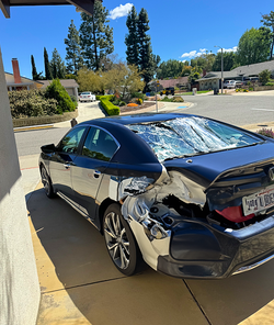 Screen Shot 2024-04-01 at 2.53.32 PM.png