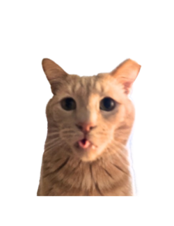 max1-removebg-preview (1).png