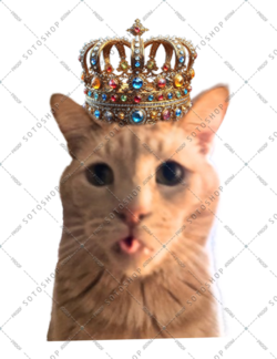 max1-removebg-preview (1) copy.png